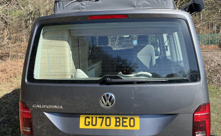 ViewStalkers – VW California Campervan