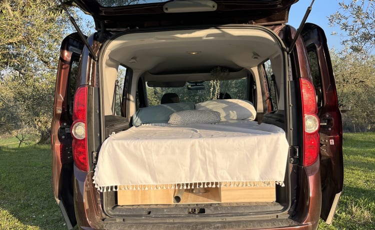 Alba – Practical and comfortable Doblo