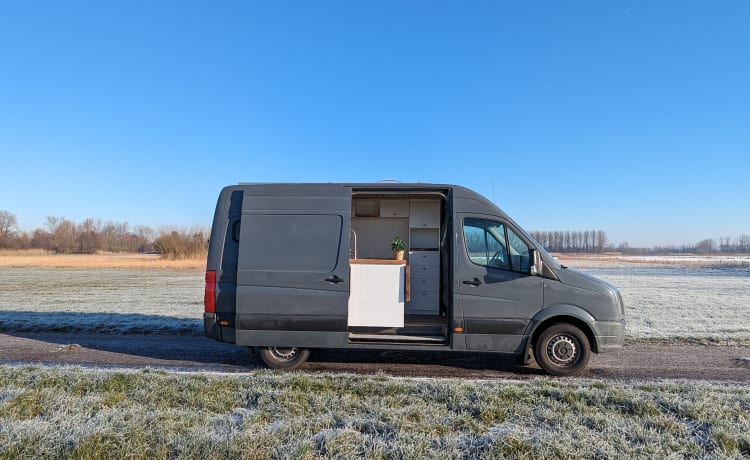 Muriël – Camper Volkswagen 2p del 2016