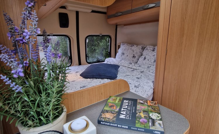 OFF-GRID – Very nice and fully equipped bus camper!