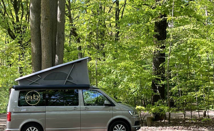 Bulli – 4p Volkswagen T6 California Ocean Wohnmobil aus dem Jahr 2020