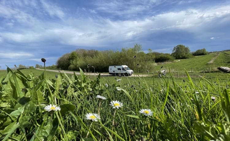 Ollie – 2er Volkswagen Bus aus dem Jahr 2010