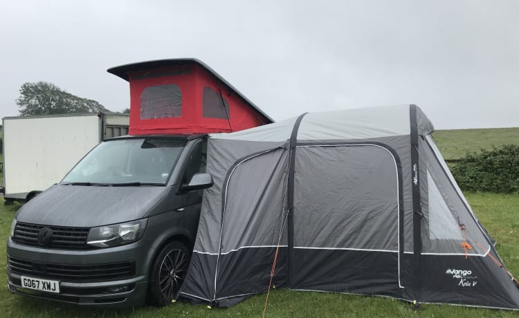 4 Berth luxury VW T6 Camper - Goboony insured 