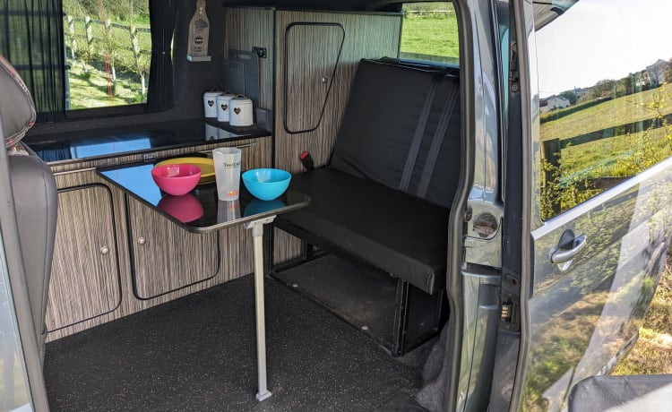 Blu – Dog Friendly CamperVan 