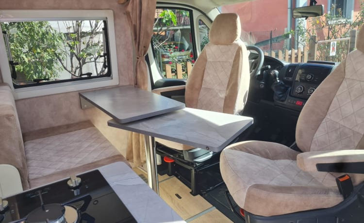 Ollie – Autobus Peugeot 2p de 2014