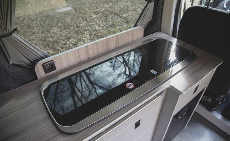 Ollie │ Camping-car de luxe pour 2 personnes