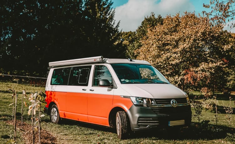 Tünn – VW T6.1 all-wheel drive - the feel-good camper with lots of space!