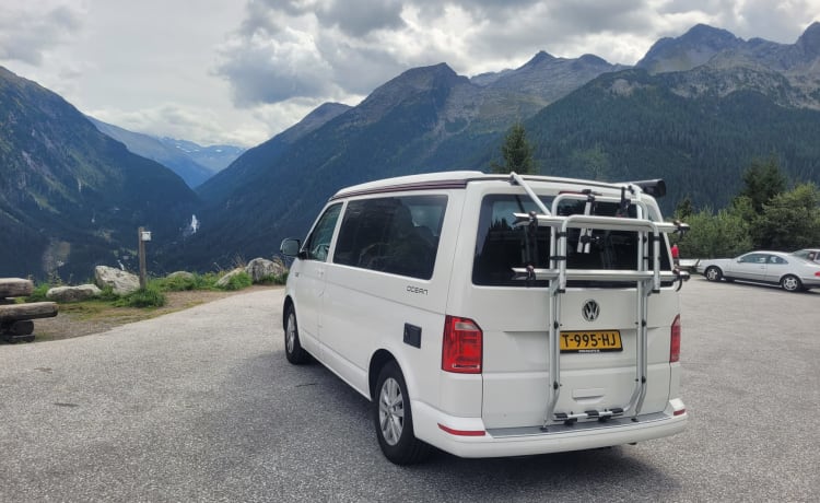 Cali  – Volkswagen California T6 (Fabriekscamper, origineel)