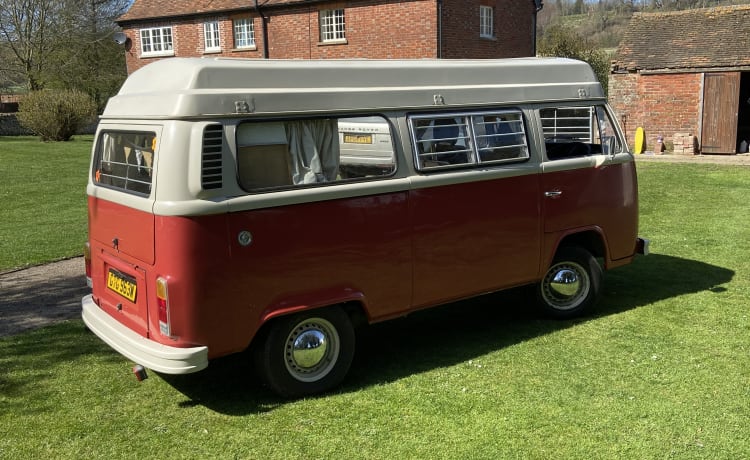 Roses – Vintage Devon 4 berth Volkswagen Camper 1981 - Relaxing Camping Classic 