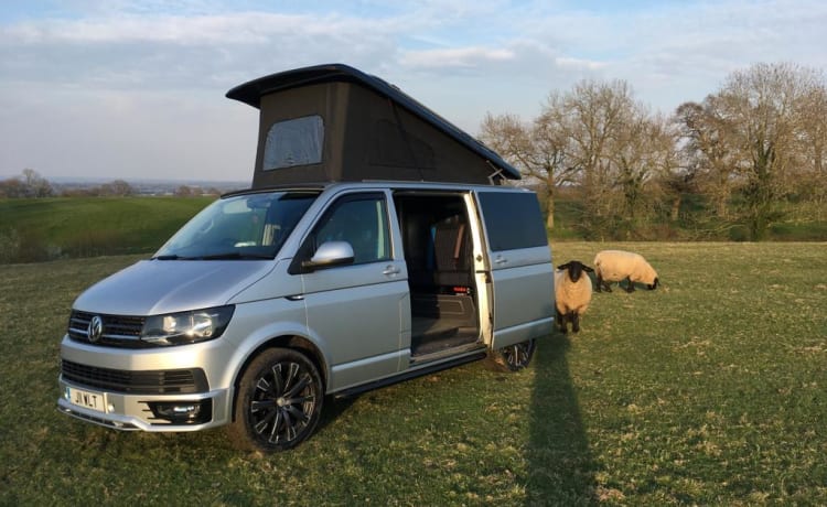 4 berth Volkswagen campervan from 2016