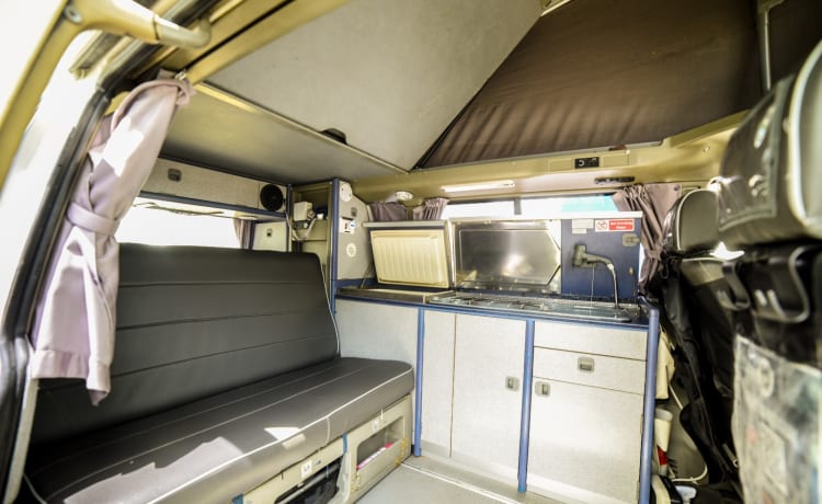 Rino il campeRino – Volkswagen T4 westfalia california 