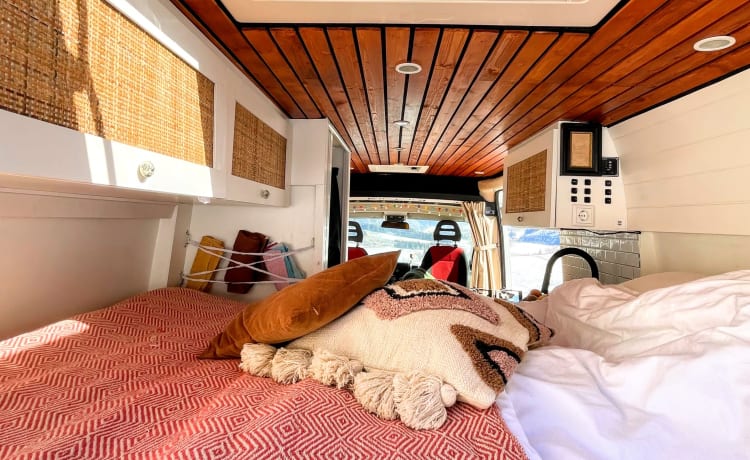 Groot – 🚐 Completely off-grid and equipped with all the luxury! 🏕️