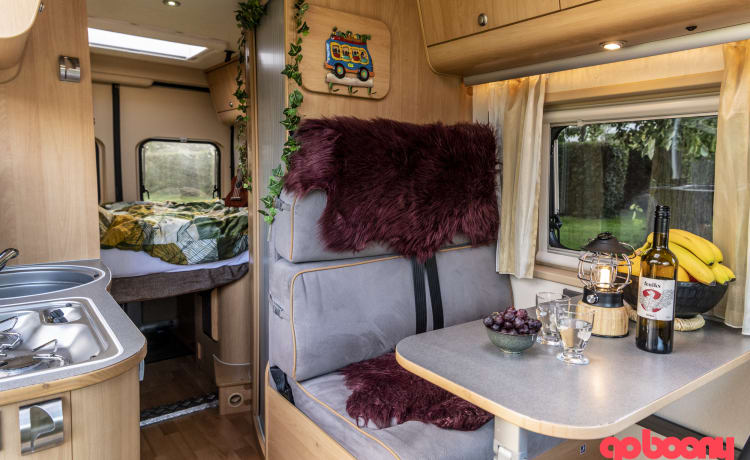 Hygge – Camper bus d'atmosfera per un'avventura divertente