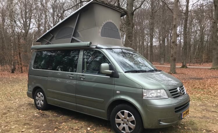 California 4motion – Beautiful T5 for rent for trips within the Netherlands