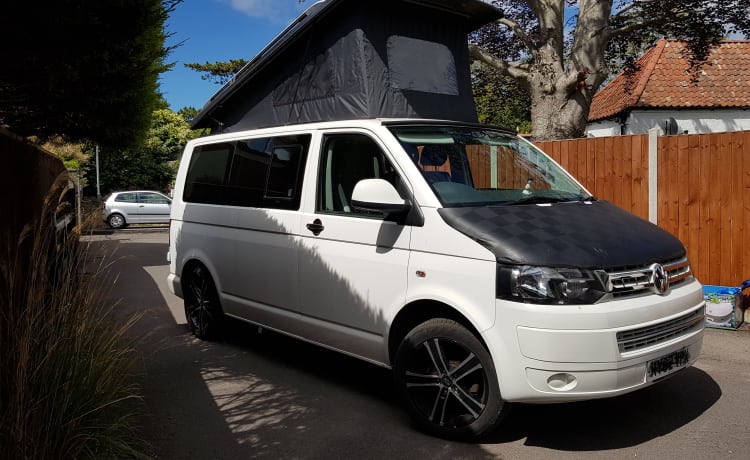 Elvis – VW T5 befindet sich in West Country