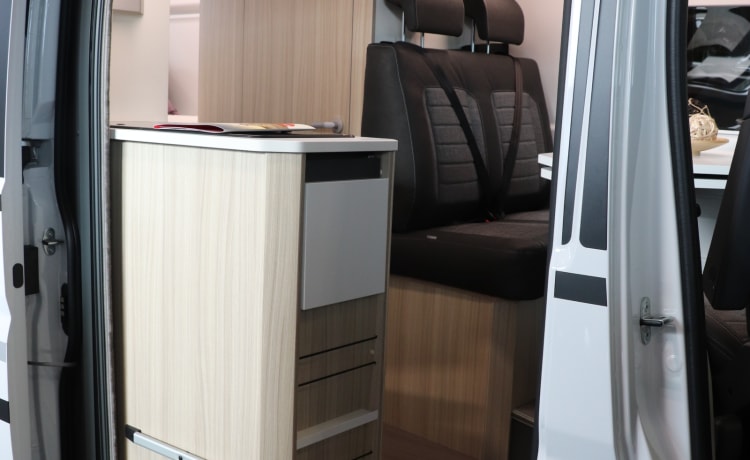 Roadhouse camperverhuur naam Surfer House – New Adria Mobil 2023 bus camper