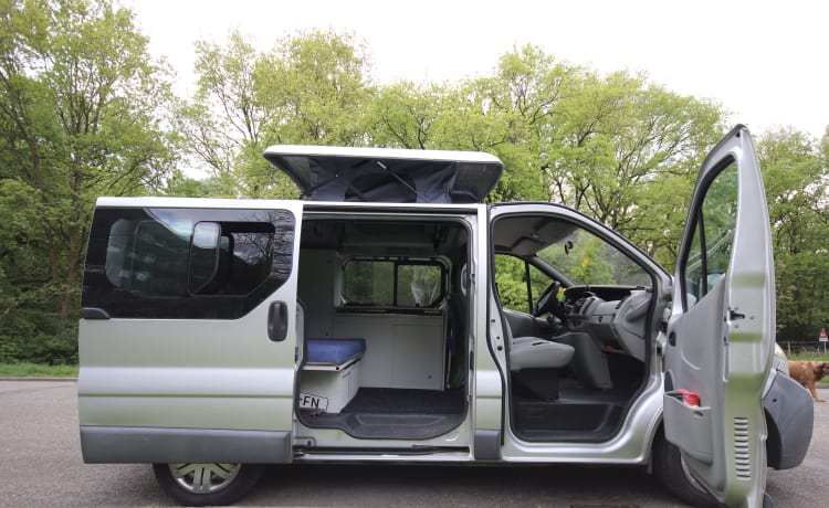 Viv – Handy and complete bus camper