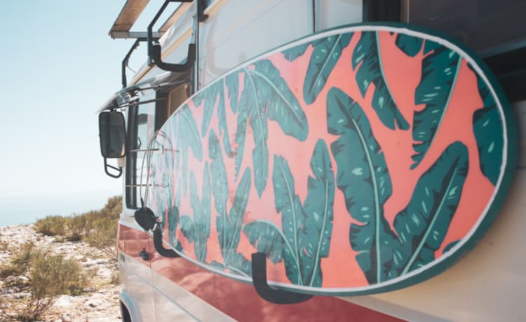 Selma – Unique army bus and off grid camper