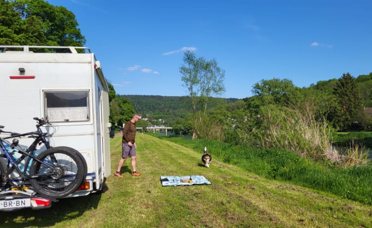 Grote Beer – 7p Chausson alkoofcamper uit 2002