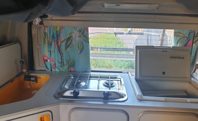 Bonk – Ford Westfalia - complete motorhome