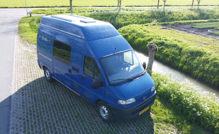 4p Peugeot bus uit 2001