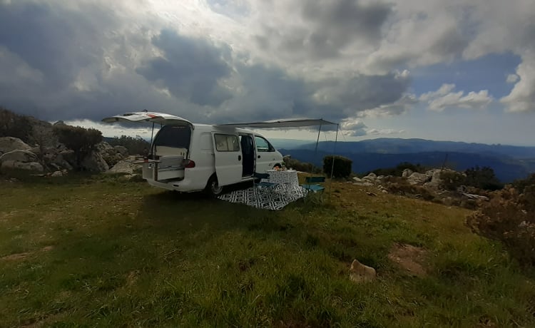 VAN BOB – VANTASTIK RENTAL CAMPERVAN