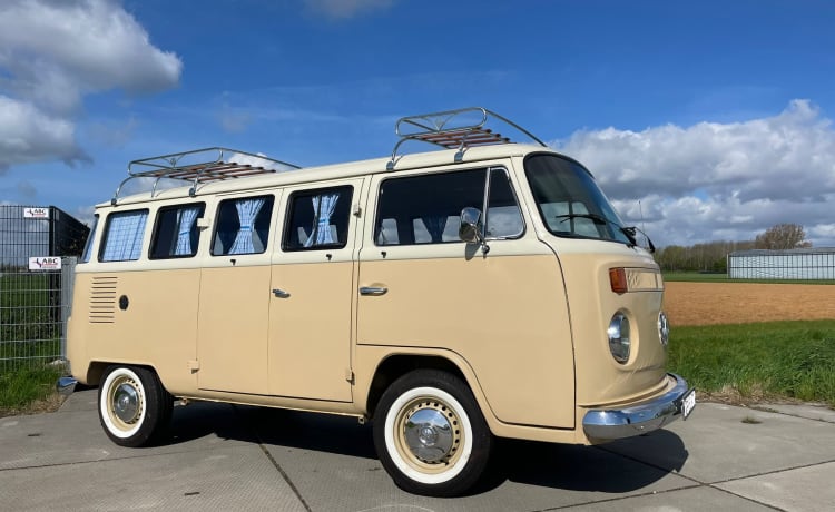 The Sunrise  – Volkswagen Bus - T2 