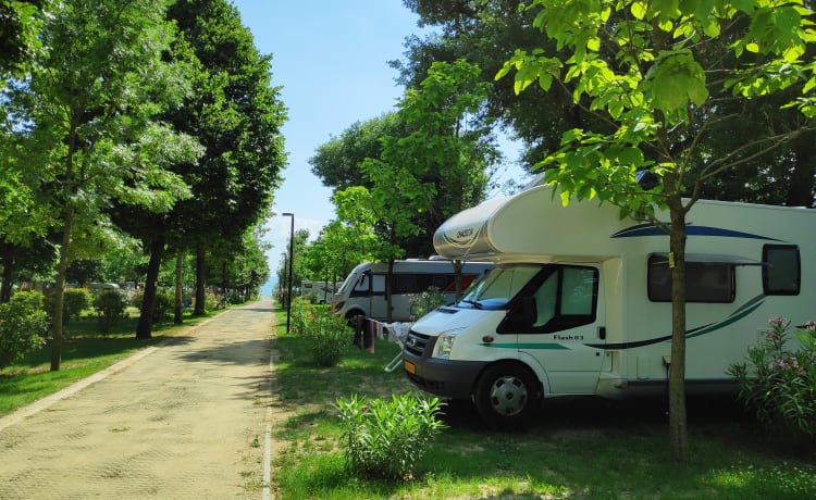 Diesel de roze schaats (kids zijn creatief 😄) – Komfortabler und kompletter Alkoven-Camper für 6 Personen