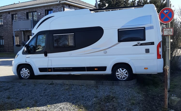 Camper pulcino raro