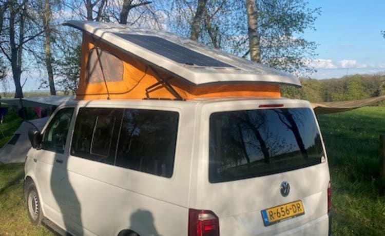 4p Volkswagen campervan uit 2016