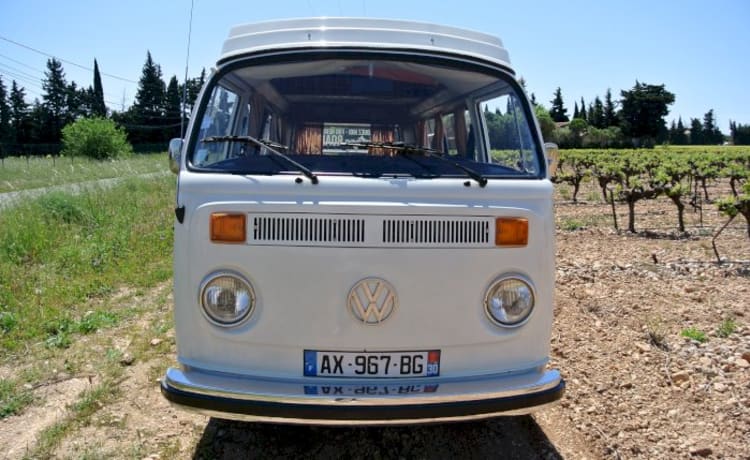 Perlimpinpin – Kombi Van T2