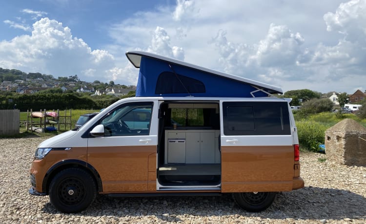 Camper per famiglie VW T6.1 vicino ai confini di Somerset, Devon e Dorset