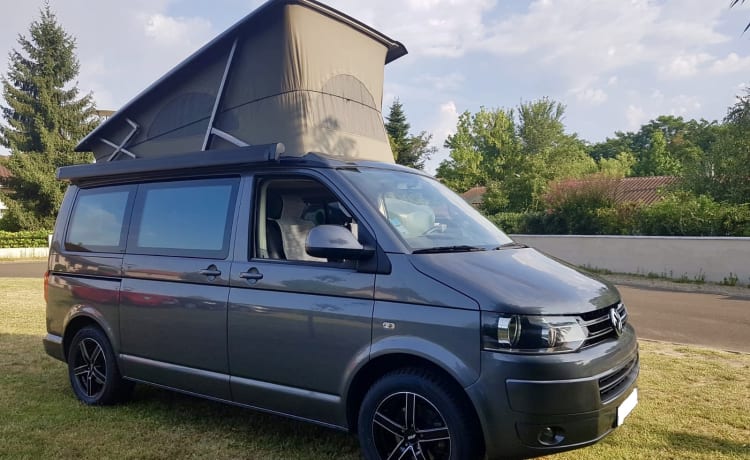 Calif – LIEFERWAGEN VW Kalifornien