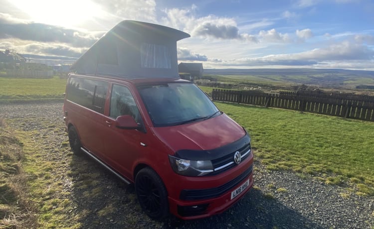 Cherry🚐 – VW T6-camper met 4 slaapplaatsen