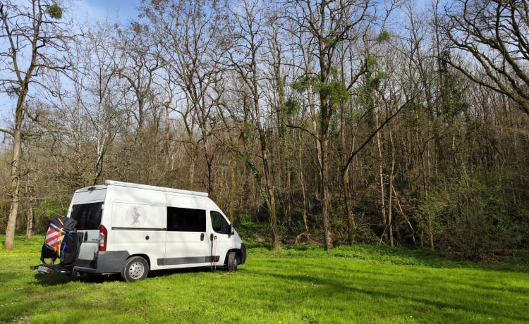 Garuda – Cheerful Peugeot Bus camper from 2013