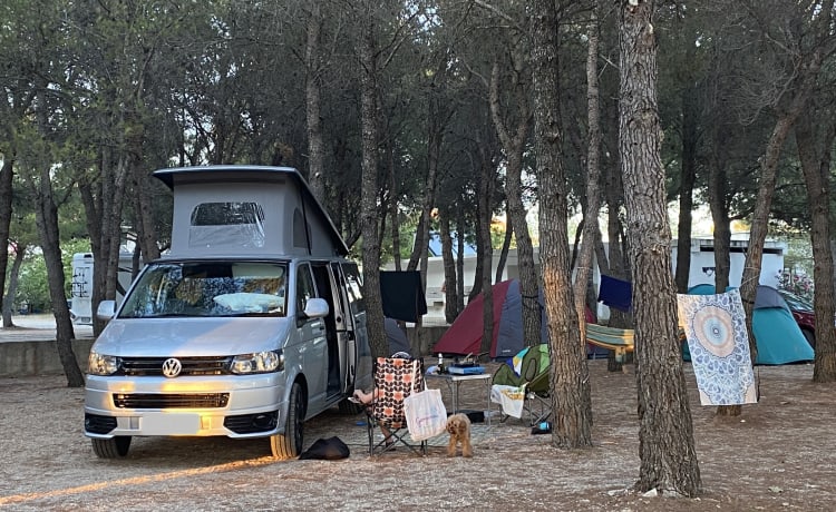 Liberty – VW Campervan mit 4 Schlafplätzen – Langer Radstand für zusätzlichen Platz