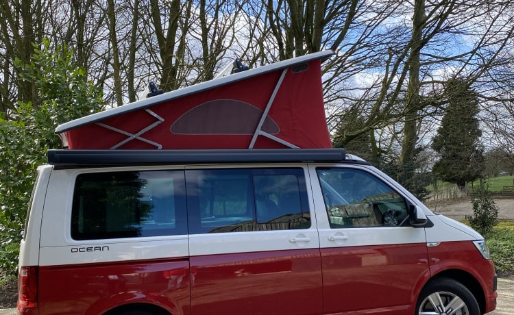 Bertie – Trek de aandacht met de originele VW Cali!! 2019