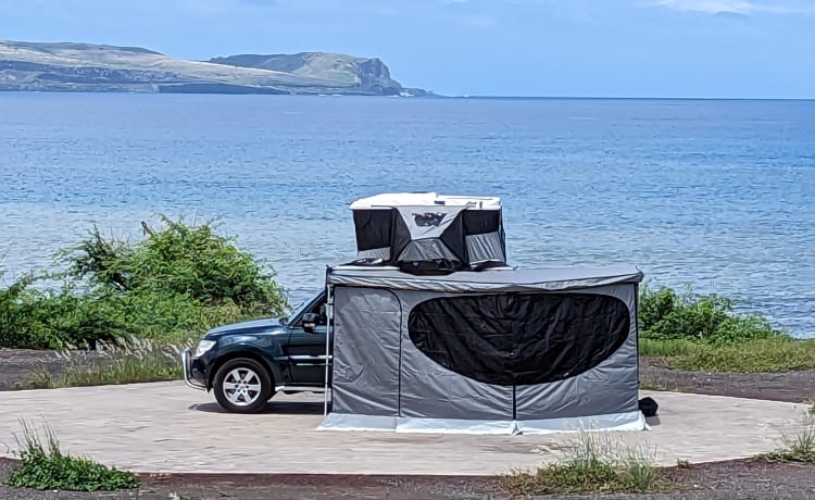 Le flamboyant  – Mitsubishi Pajero 4 - Insel La Réunion