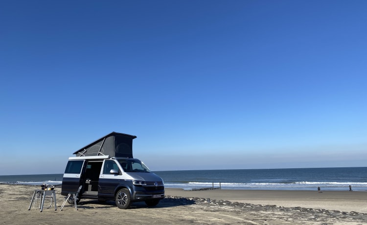 Vancation – 4p Volkswagen California Ocean DSG uit 2022