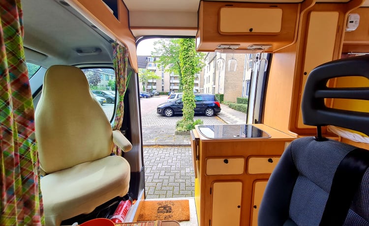 Chico – Unser gemütlicher Bus mit Toilette bietet Platz für 2 Erwachsene + 1 Baby