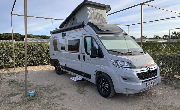 Brand new luxury bus camper for rent