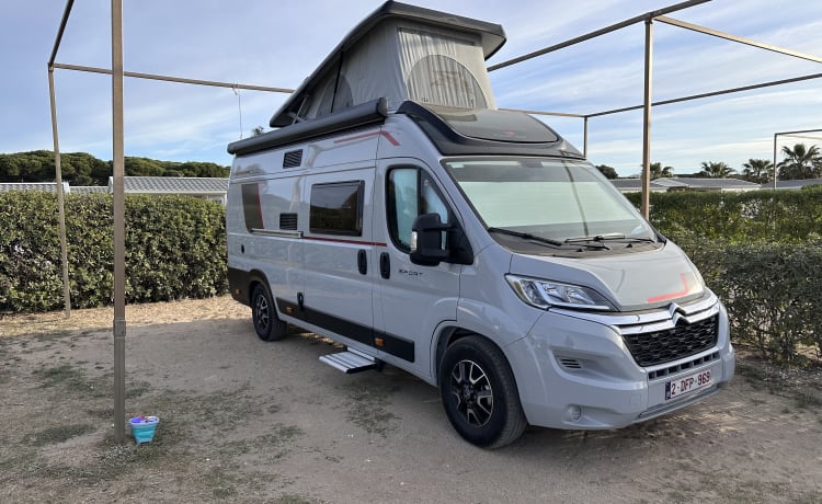 Noleggio camper bus di lusso nuovo di zecca