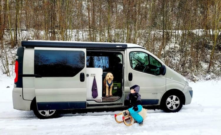 Roza – 4p Renault Camperbus from 2011 - suitable for almost any adventure!