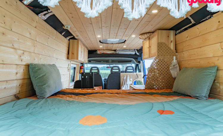 Ollie – Comfortable, attractive 2 person bus camper