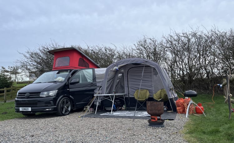 Black Beauty – Black beauty, notre transporteur Vw T6 haut de gamme