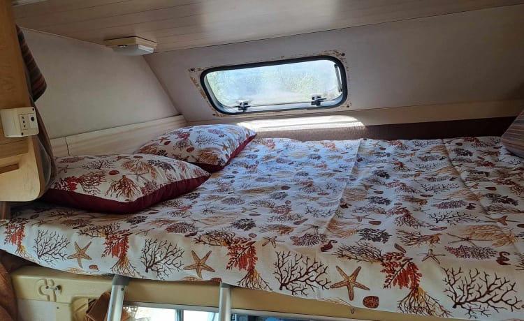 Tony's camper – Ford doorgang 2.5