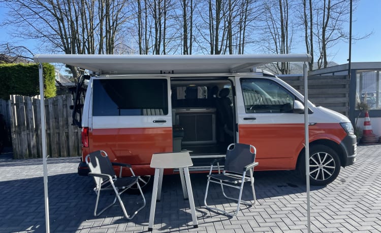 Aloha beach camper Orange – VW T6 Automaat