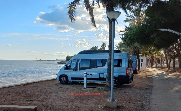 Camping-car Sunlight Bus Automatique à partir de 2023, 4 personnes