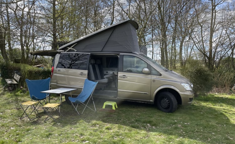 De Grutto – Camping de luxe avec notre Marcopolo Camperbus