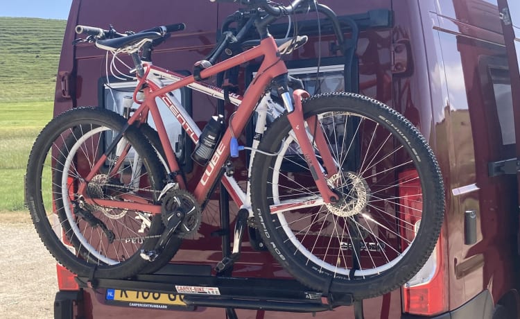 Little Red Devil  – 3p Peugeot bus uit 2020